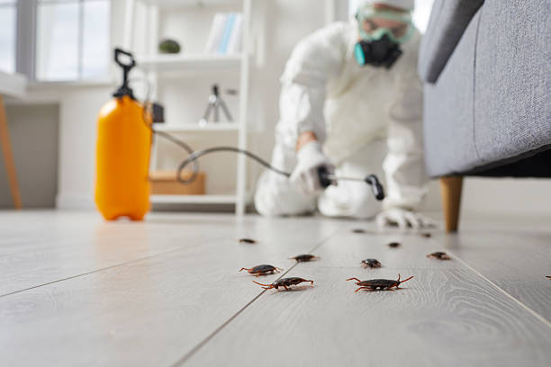 Commercial Kitchen Cockroach Control in Travelers Rest